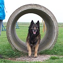 Fun-Agility-Park