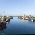 Hafen Accumersiel/Dornumersiel