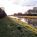 Ochsenweide