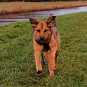 Unsere Kimya