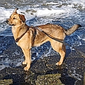 Unsere Kimya